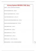 Urinary System REVIEW&lowbar;PHS&lowbar;Spry
