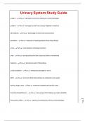 Urinary System Study Guide