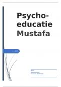 2&period;1&period;3 Psycho-educatie Hogeschool Inholland