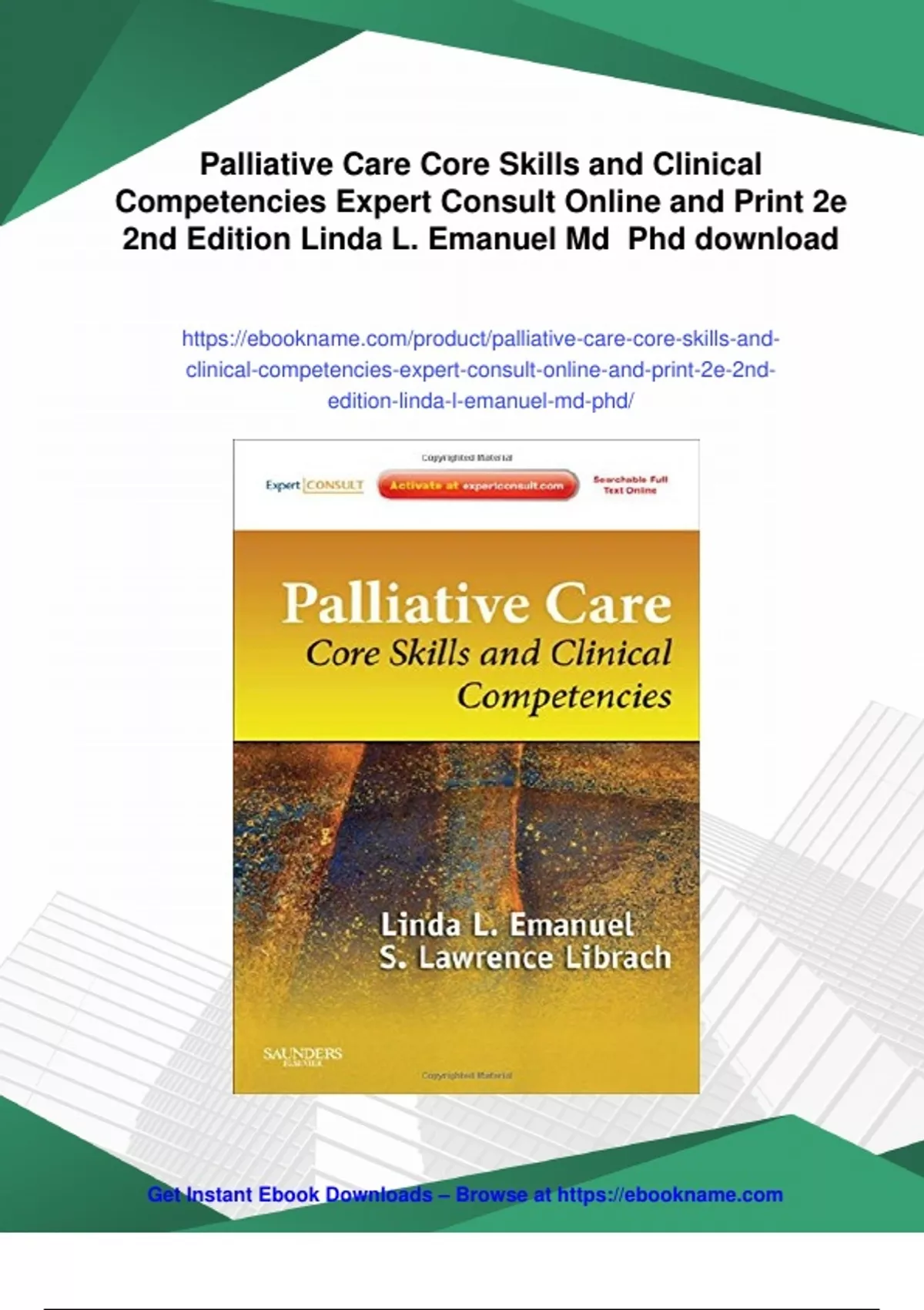 Summary Palliative Care Core Skills and Clinical Competencies Expert ...