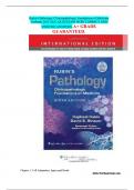 Rubin's Pathology&semi; Clinicopathologic Foundations of Medicine  Testbank 2025-2026&period; QUESTIONS WITH CORRECT AND  VERIFIED ANSWERS&period; A&plus; GRADE  GUARANTEED&period;