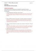 BIO 201L Lab 7 The Muscular System SUMMER 2025