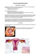 Overzicht van de embryologie