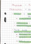 Fiches de r&eacute;vision Bac - Sp&eacute;cialit&eacute; Physique Chimie 