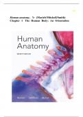 Human Anatomy&comma; 7th Edition by Marieb&comma; Mitchell & Smith &ndash; Chapter 1&colon; The Human Body&colon; An Orientation &lpar;Test Bank&rpar;