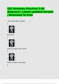 UCF Anatomy Practical 3 All diagrams Latest updated Version Download To Pass&period;