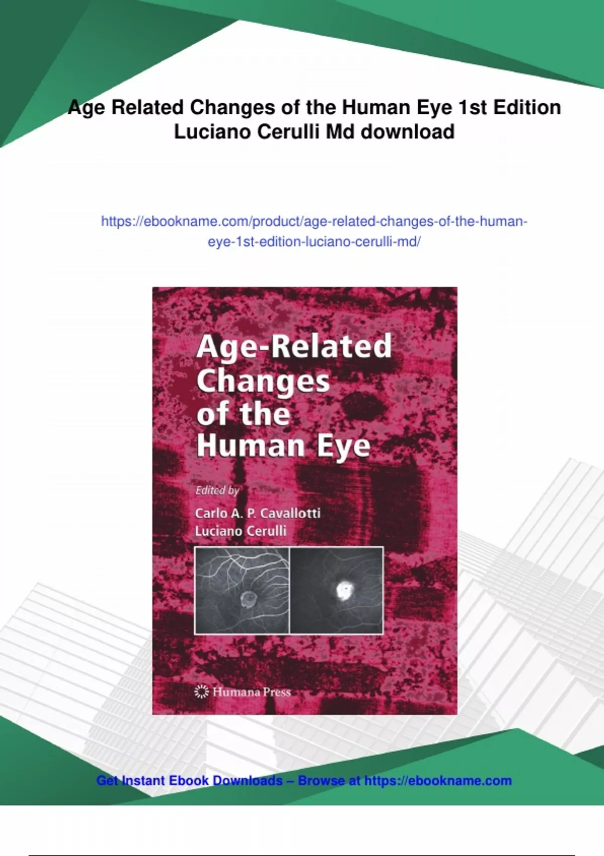 Summary Age Related Changes of the Human Eye 1st Edition Luciano ...