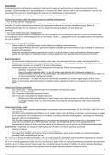 Samenvatting -  Ondernemingsrecht &lpar;3013ORX6VY&rpar;