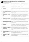 Endocrine System Overview &sol; Score 100&percnt; &sol; 2025 Update &sol; Hormonal Functions & Regulation Study Guide