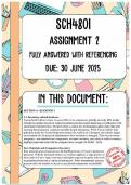 SCH4801 Assignment 2 Memo &vert; Due 30 June 2025