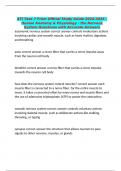 ATI Teas 7 From Official Study Guide 2024-2025 - Human Anatomy & Physiology - the Nervous System Questions with Accurate Answers