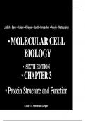MOLECULAR CELL BIOLOGY  Lodish &bull; Berk &bull; Kaiser &bull; Krieger &bull; Scott &bull; Bretscher &bull;Ploegh &bull; Matsudaira