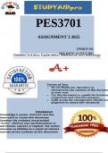 PES3701 Assignment 3 - Due 14 July 2025