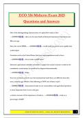 ECO 336 Midterm Exam 2025 Questions and Answers