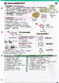 CIE AS Biology - Nucleic Acids &lpar;Topic 6 Summary Notes &vert; 2024 Syllabus&rpar;