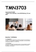 TMN3703 ASSIGNMENT 2 2025