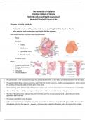 Study Guide &ndash; Male Genitourinary and Anorectal Assessment &lpar;Advanced Health Assessment NUR 505&comma; University of Alabama&rpar; &ndash; Module 11 Review with Answers
