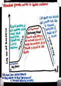 Microbial growth curve 