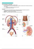 Urology and Nephrology Review
