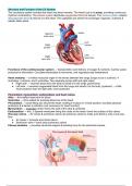 Cardiovascular System Notes