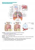 Respiratory&comma; Endocrine&comma; Male and Female Reproductive Systems&comma; and STIs