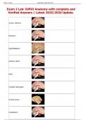 Exam 2 Lab&colon; IUPUI Anatomy with complete and Verified Answers &vert; Latest 2025&sol;2026 Update&period;