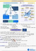 Institutions europ&eacute;ennes - un bref r&eacute;sum&eacute;