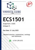 ECS1501 Assignment 3 &lpar;DETAILED ANSWERS&rpar; 2025 - DISTINCTION GUARANTEED 