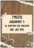 TMS3713 Assignment 4 Memo &vert; Due July 2025