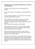 NURSING 1002 - ANATOMY & PHYSIOLOGY I &ast;FINAL EXAM REVIEW&ast;