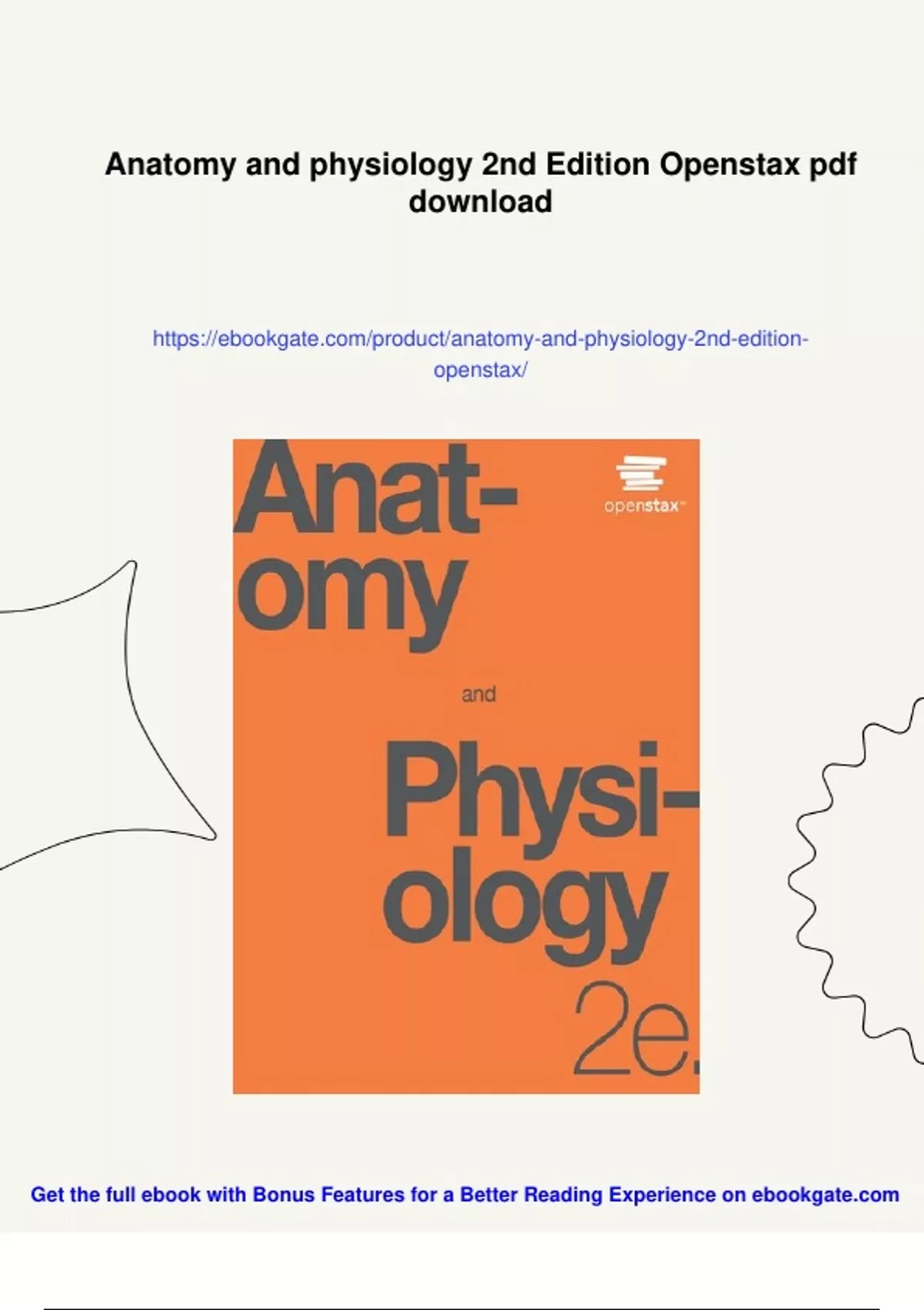 Summary Anatomy and physiology 2nd Edition Openstax - Instant Download ...