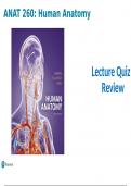 ANAT260 Human Anatomy Lecture Quiz 4 Review Liberty University