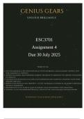 ESC3701 Assignment 4 2025 &lpar;Exceptional Response&rpar; Due 30 July 2025