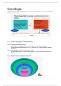 Sociologie samenvatting hoofdstuk 8