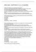WGU C484 - CHAPTERS 9&comma; 10&comma; 12&comma; 16 QUIZZES