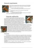 Osmosis experimento y Osmosis explicaci&oacute;n