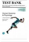 Test Bank - Human Anatomy & Physiology&comma; 12th Global Edition &lpar;Marieb&comma; 2023&rpar;&comma; Chapter 1-29 &vert; All Chapters