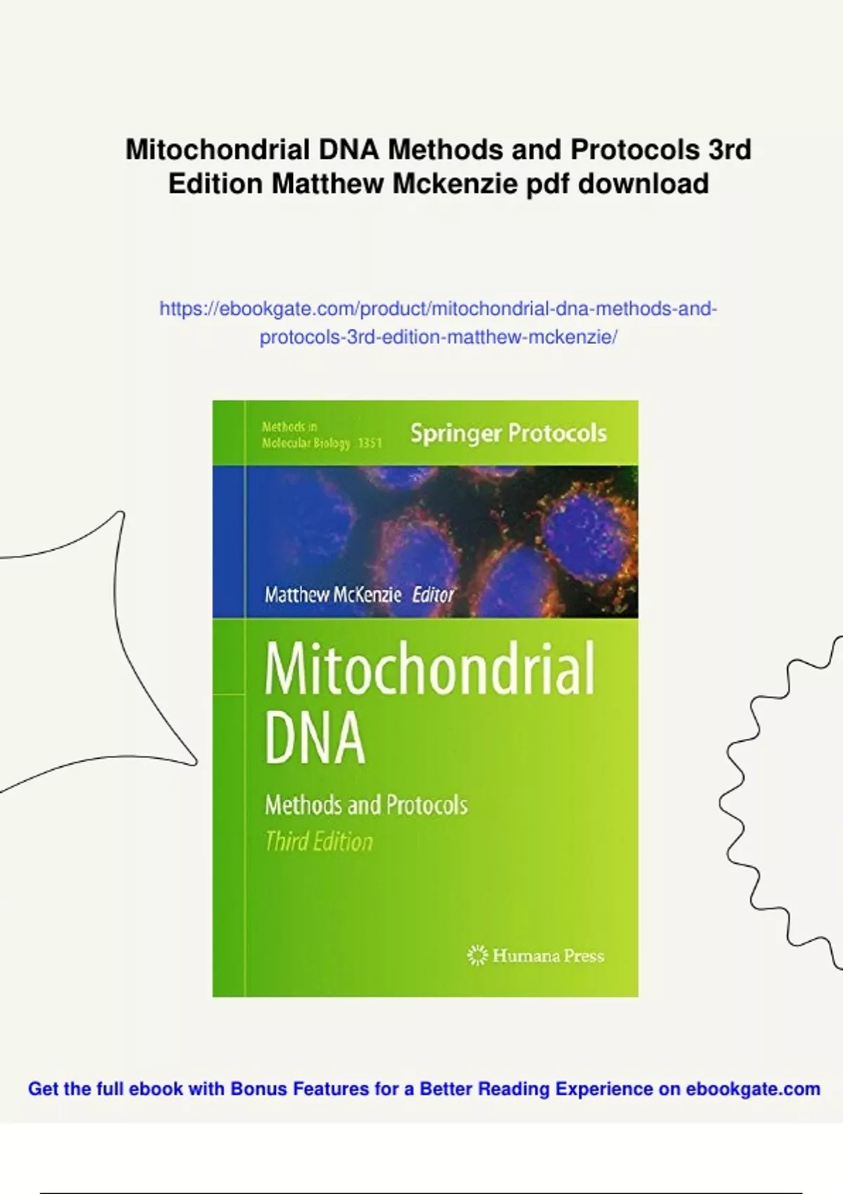 Summary Mitochondrial DNA Methods and Protocols 3rd Edition Matthew ...