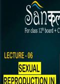 Sexual reproduction in flowering plants