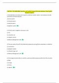 CHAPTER 7 ITEC1000 EXAM Questions and Verified Answers&sol;Accurate Solutions&vert; New Update  Already Graded A&plus; 