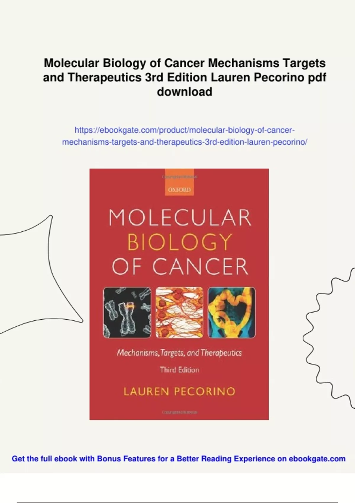 Summary Molecular Biology of Cancer Mechanisms Targets and Therapeutics ...