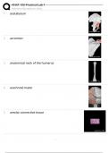ANAT 100 PRACTICAL LAB 1 &lpar;MODULES 1-5&rpar; PASSED&excl;&excl;
