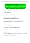Introduction to Human Anatomy &lpar;BIO 231&rpar; &ndash; Portland Community College Verified Practice Questions with A&plus; Answers &vert; Final Exam Guide FOR 2025&sol;2026 &lpar;the most recent quizzes&rpar;