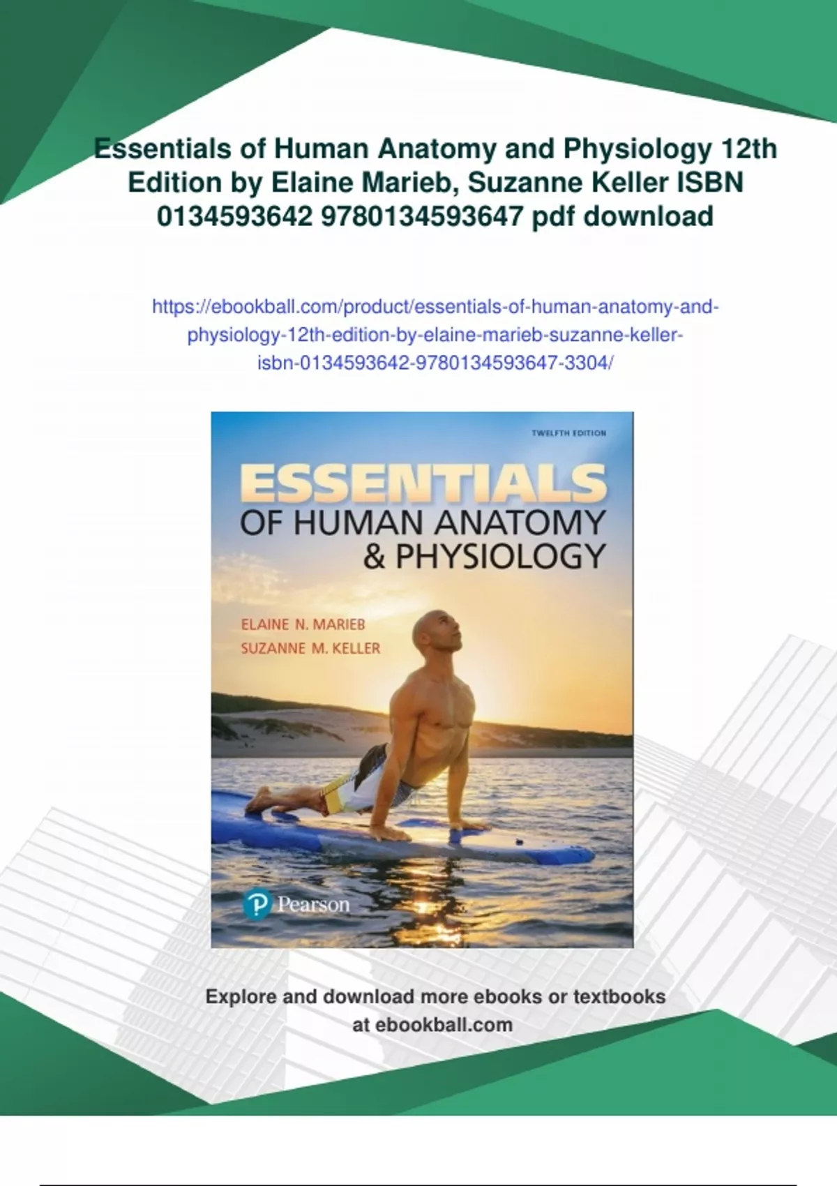 Summary Essentials of Human Anatomy and Physiology 12th Edition by ...