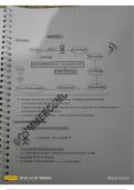 Summary Double Entry Book Keeping -  Accountancy 