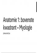 Anatomie 1 - Myologie Spierkaarten