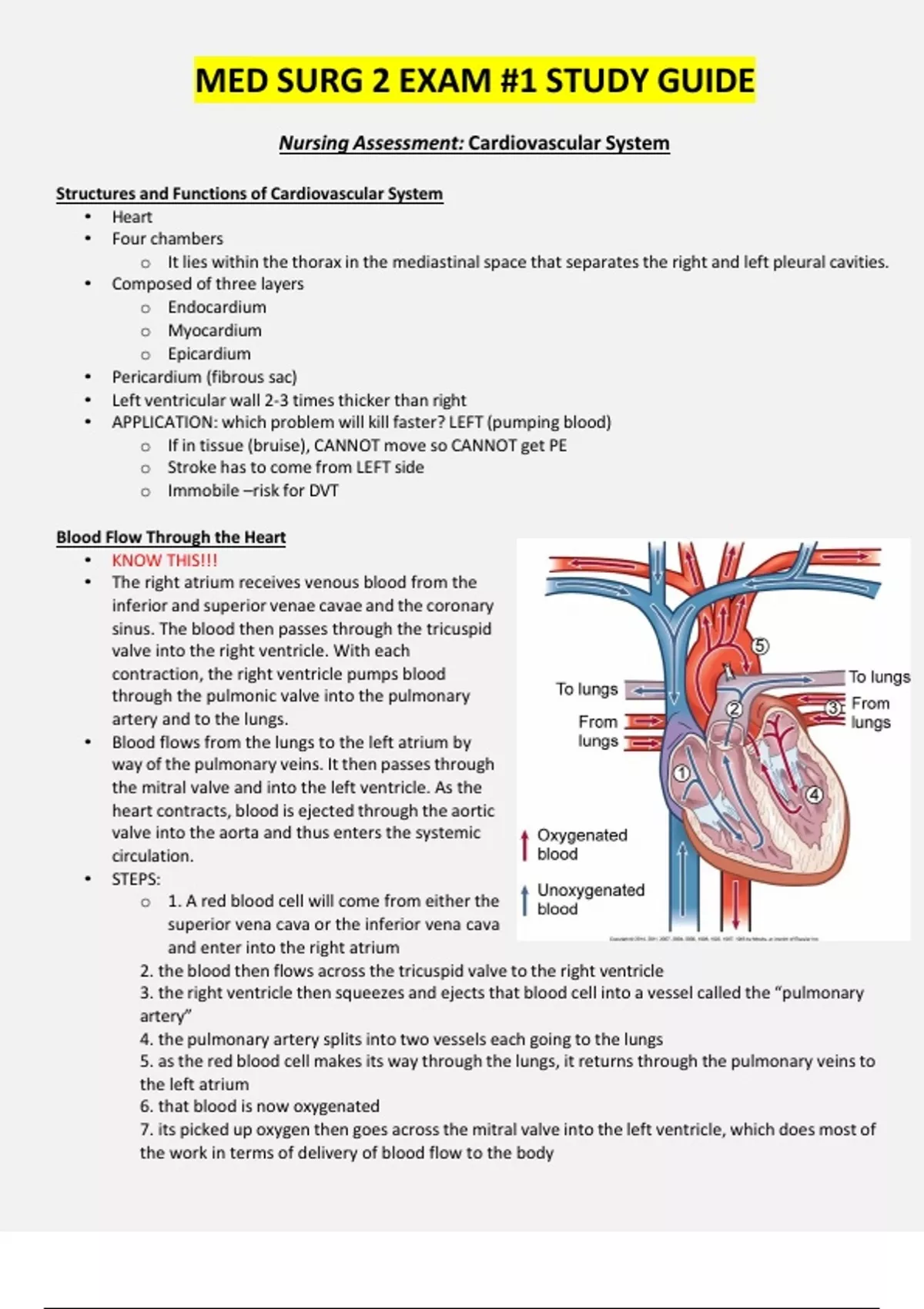 Med-Surg 2 Exam 1 Study Guide 2025/2026 - Med surg - Stuvia US
