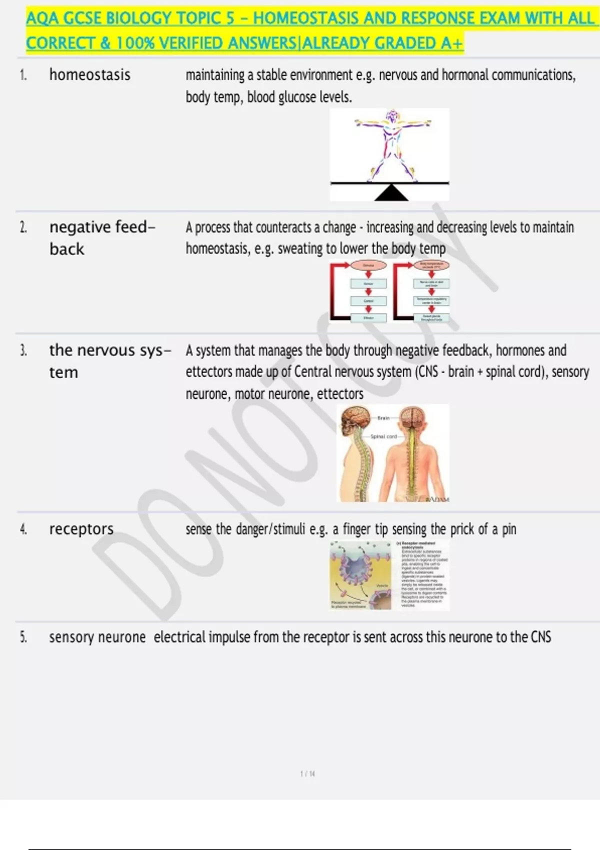 AQA GCSE BIOLOGY TOPIC 5 - HOMEOSTASIS AND RESPONSE EXAM WITH ALL ...
