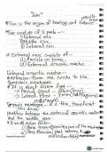 Class notes Ear Anatomy  &lpar;BDS&rpar;  Bd Chaurasia's Human Anatomy&comma; Volumes 3 & 4