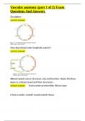 Vascular anatomy &lpar;part 1 of 2&rpar; Exam Questions And Answers&period;docx